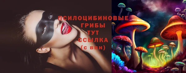 бошки Абаза