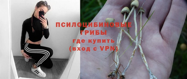 таблы Алексеевка