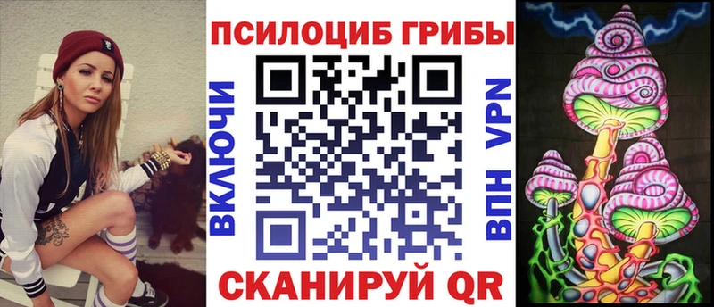Галлюциногенные грибы Psilocybe  Иланский 